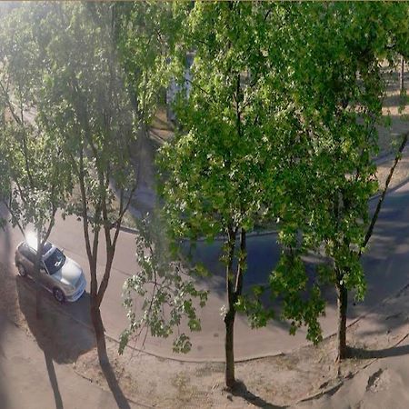 Однокомнатная Квартира На Улице Попудренко Kiev Dış mekan fotoğraf
